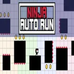 Ninja Auto Run